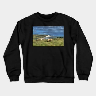 Seven Sisters Crewneck Sweatshirt